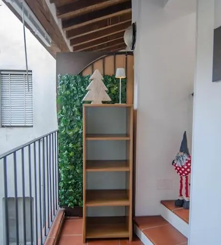 公寓 Fuoriporta Affitti Brevi - Bixio 123 *